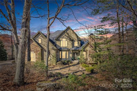 20 Moccasin Flower Trail Landrum SC 29356