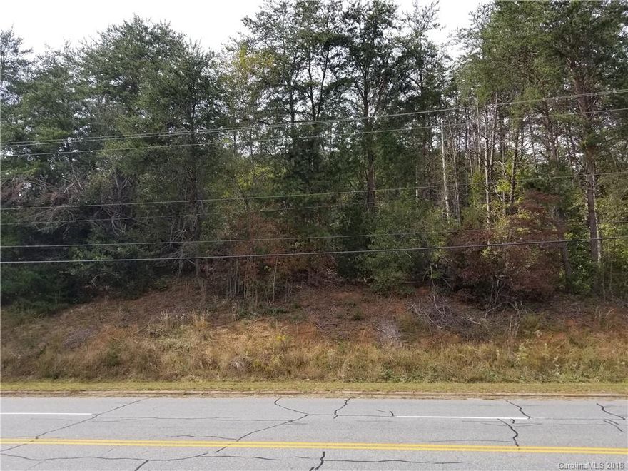 Conveniently located commercial lot, in Spindale, in between Rutherfordton & Forest City near the corner of Oak St. and ALT HWY 74.  This site is in a high traffic area & ready for development!  Just off of Oak St across the street from Carolina Farm Credit & The Rutherford Pet Supply.  Slightly elevated, this 1.4 acre lot would be a great ,location for your business.  Public Water available, septic tank needed.   Very short drive to HWYs 221 & 74 - Super Wal Mart and Isothermal Community College are within 1-2 miles.  Call agent with questions!