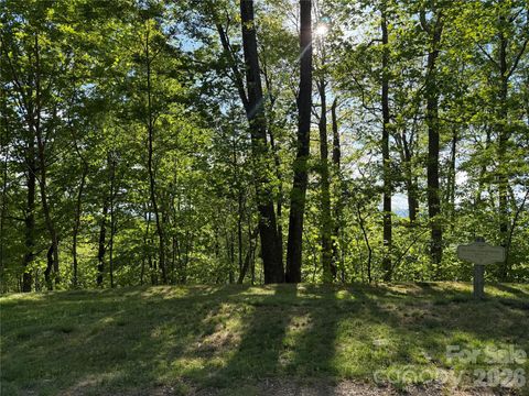 Lot 9 & 10 Andrew Banks Road Burnsville NC 28714