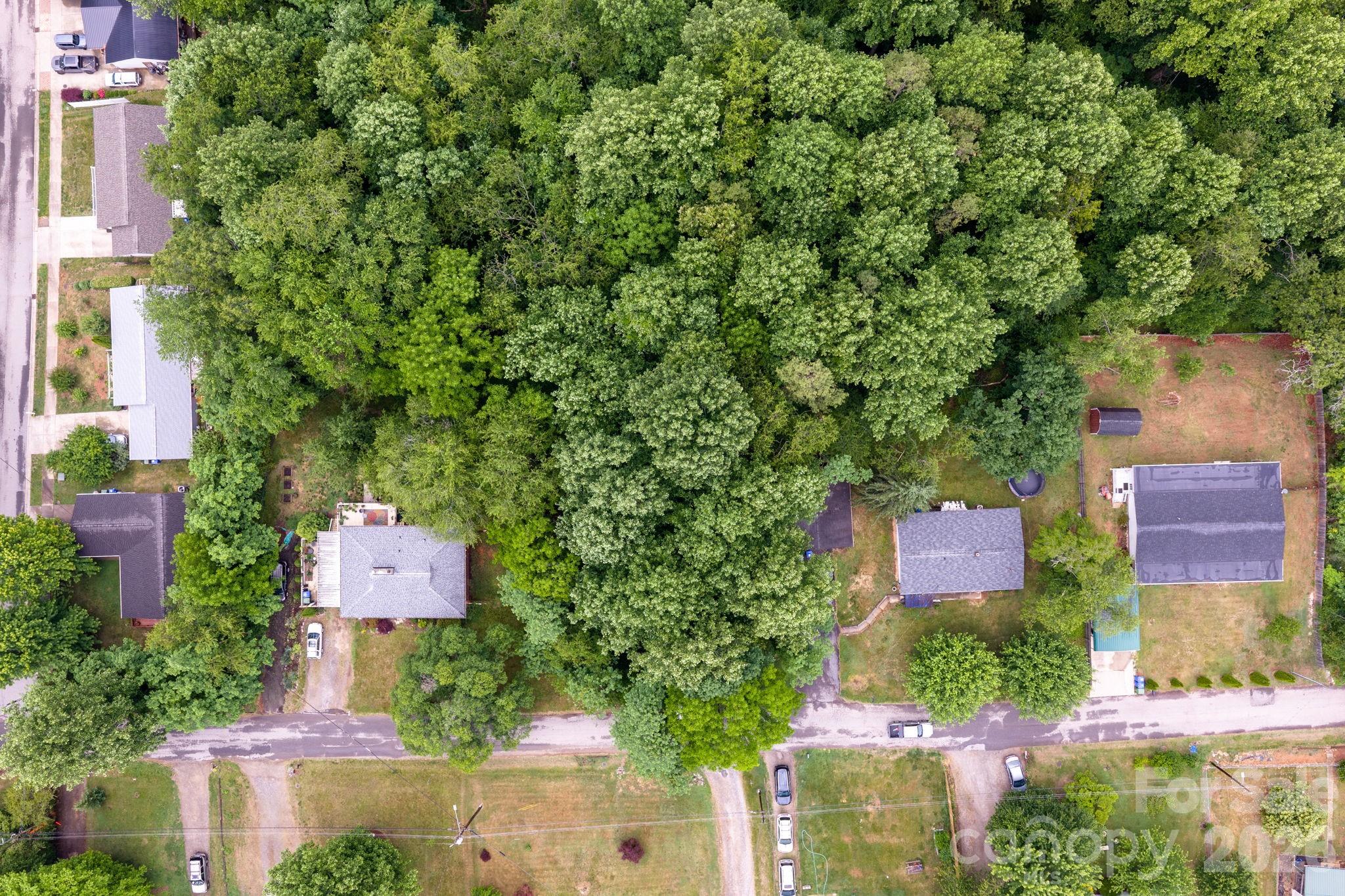 99 Maple Avenue 1