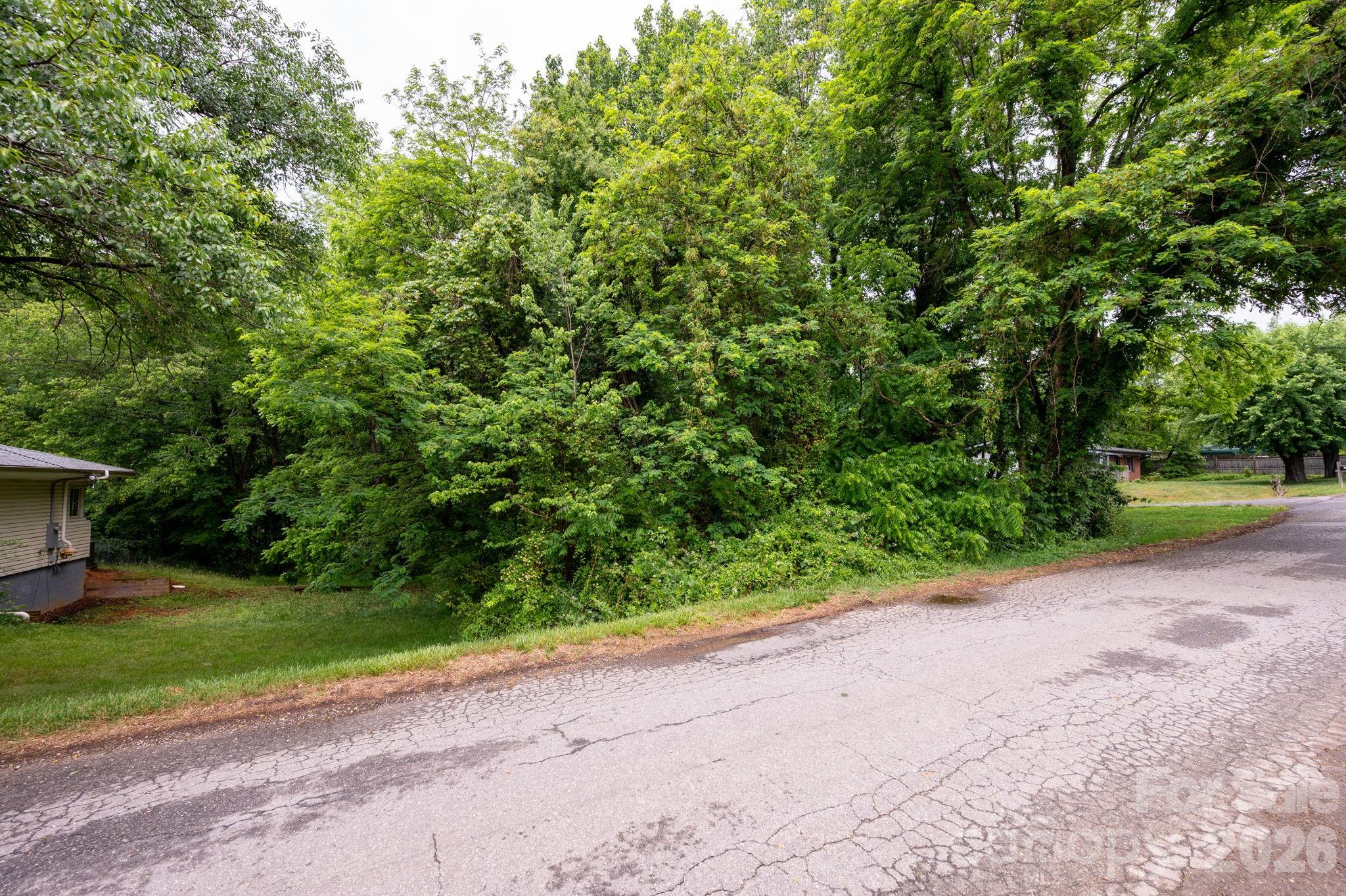 99 Maple Avenue 1