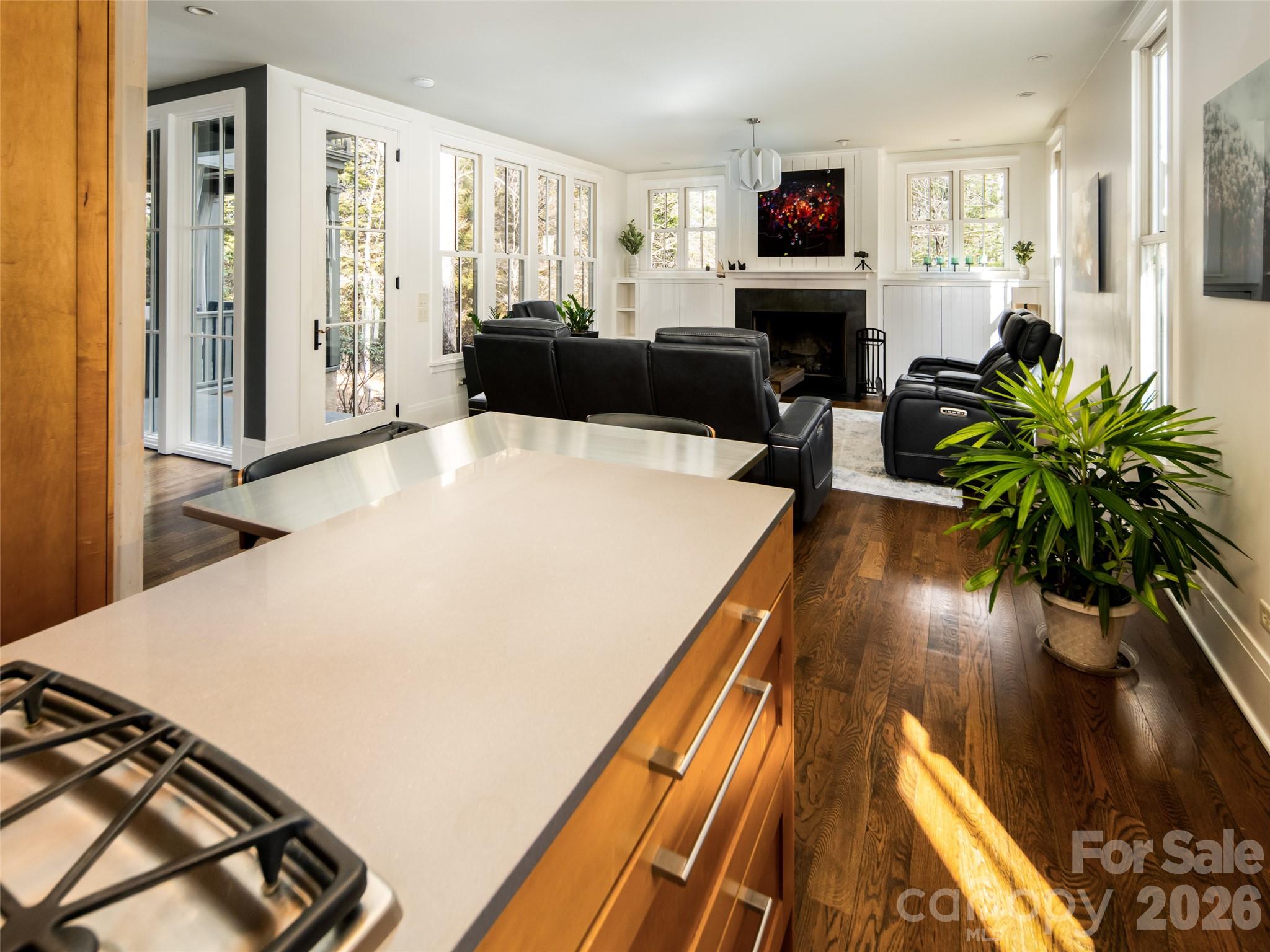 Biltmore Lake - Residential