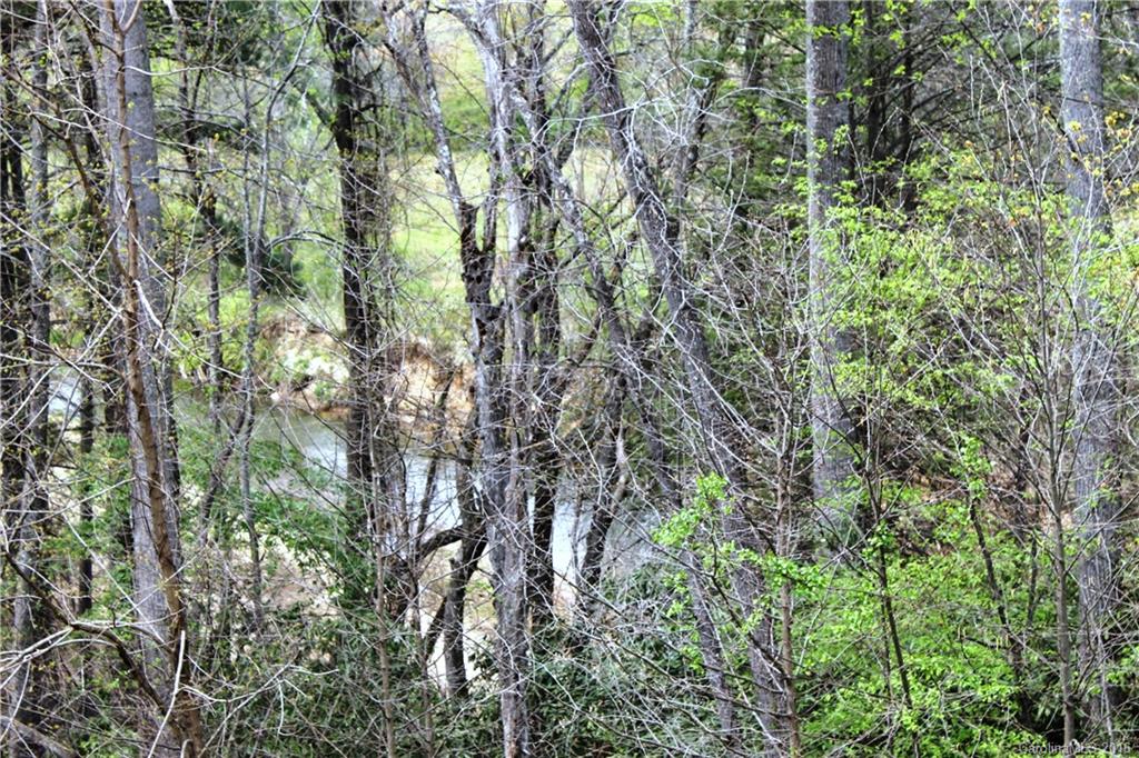 Seasons at Biltmore Lake - Residential