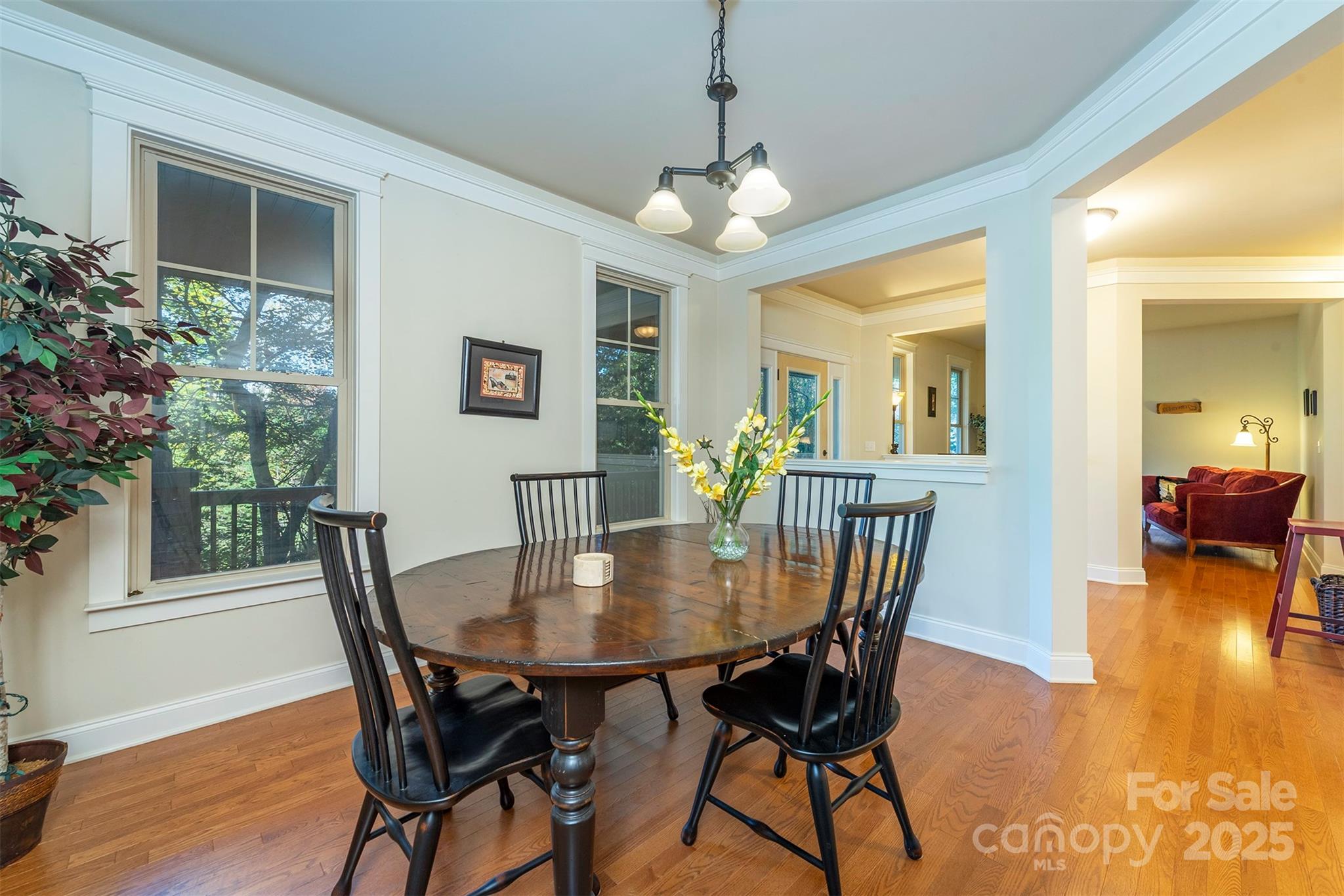 Biltmore Lake - Residential