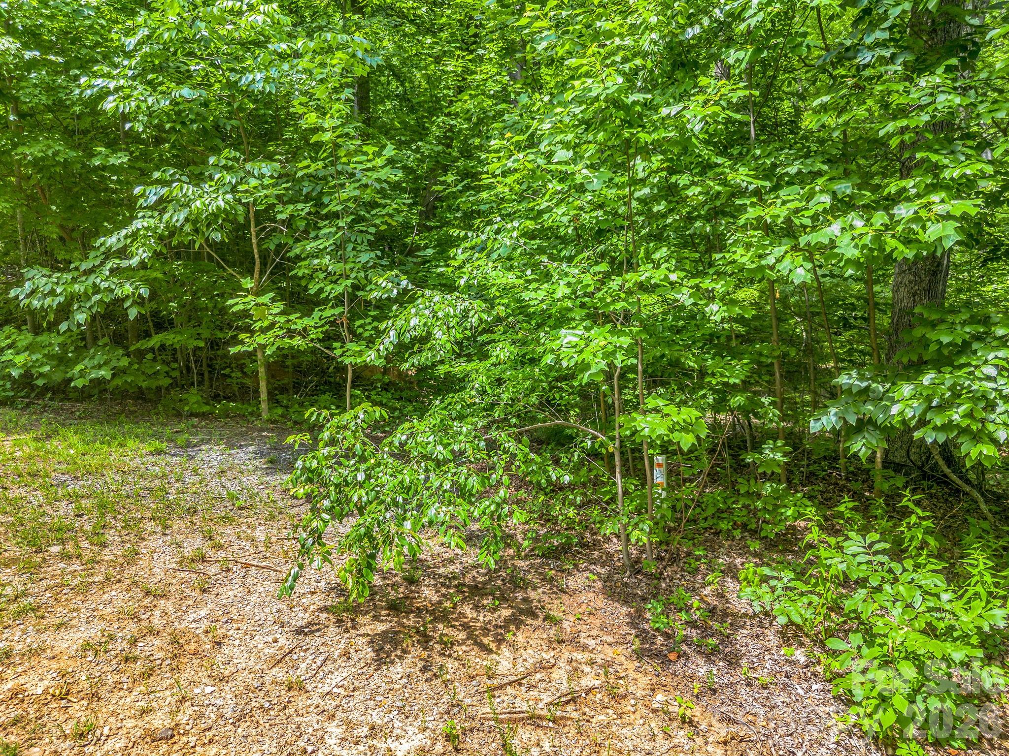 Lot 29 Matho Trace 29