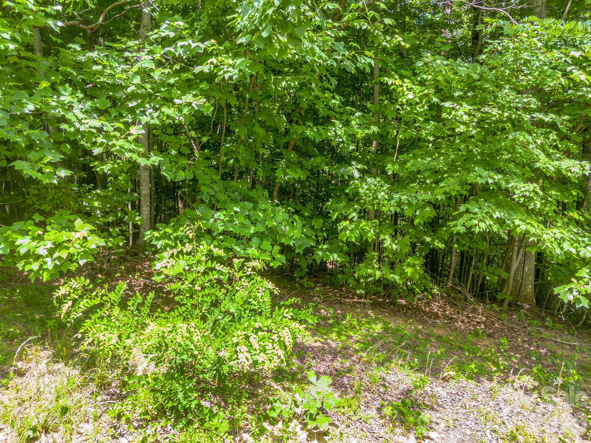 Lot 29 Matho Trace 29