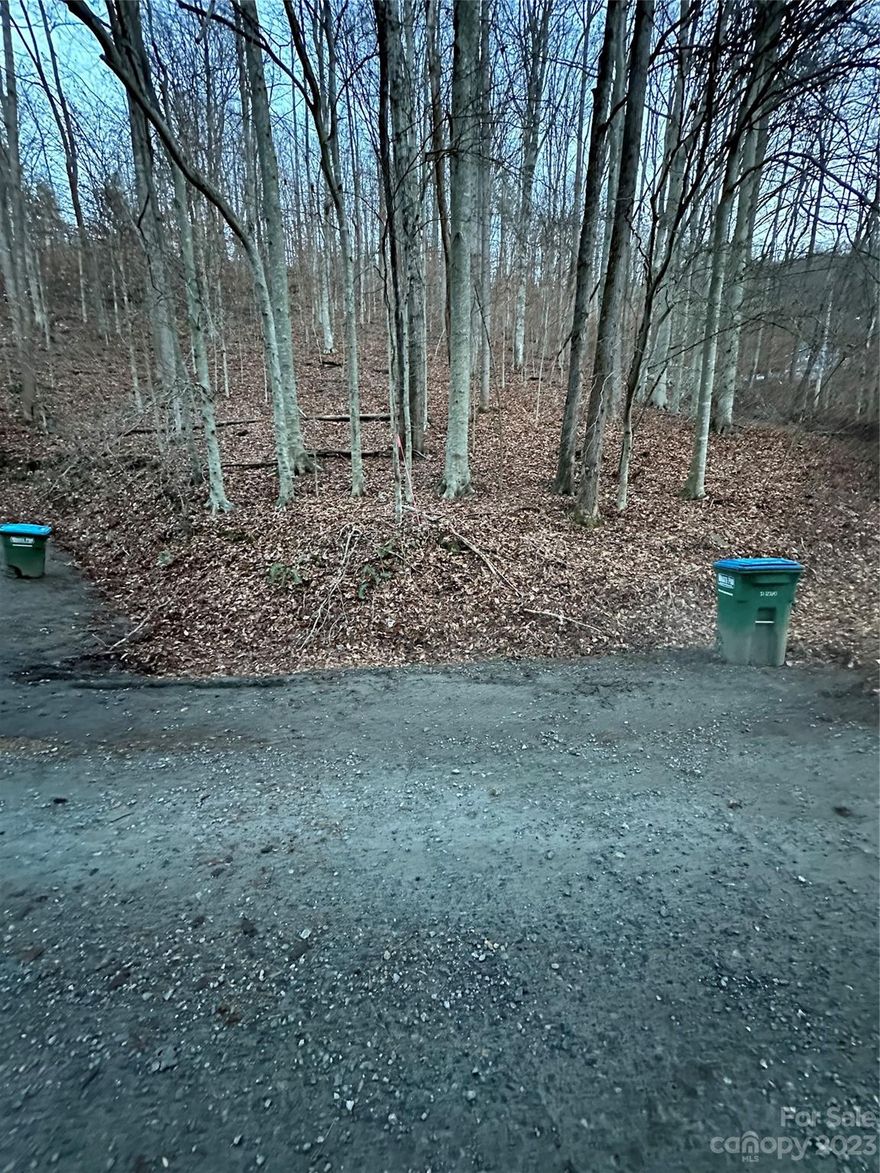 +/- 10 acres offered in this land listing  is being surveyed off of the 22.77 acres of 36 Jump Cove Rd. Weaverville, NC 28787-9764, leaving +/- 12.77 and the home. This land listing and any potential water rights is uncontract to be sold to the neighbor. See listing MLS # 4052565