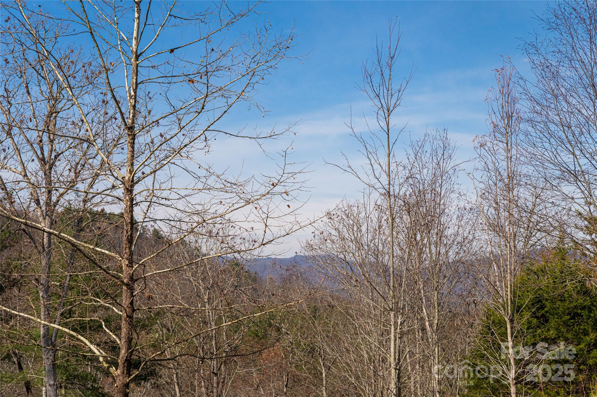 Monarch Estates - Residential