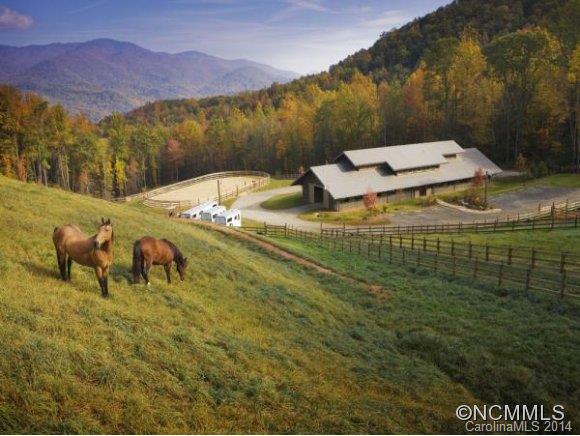 Balsam Mountain Preserve - Residential