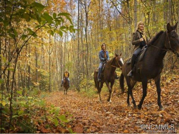 Balsam Mountain Preserve - Residential