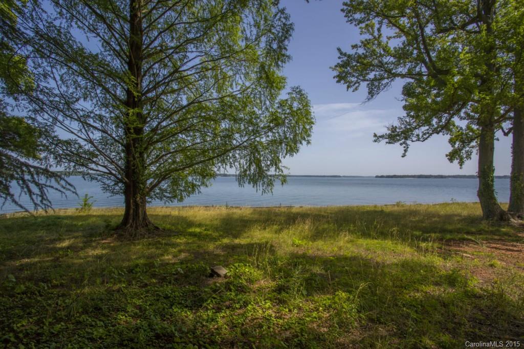 Island Forest - Land