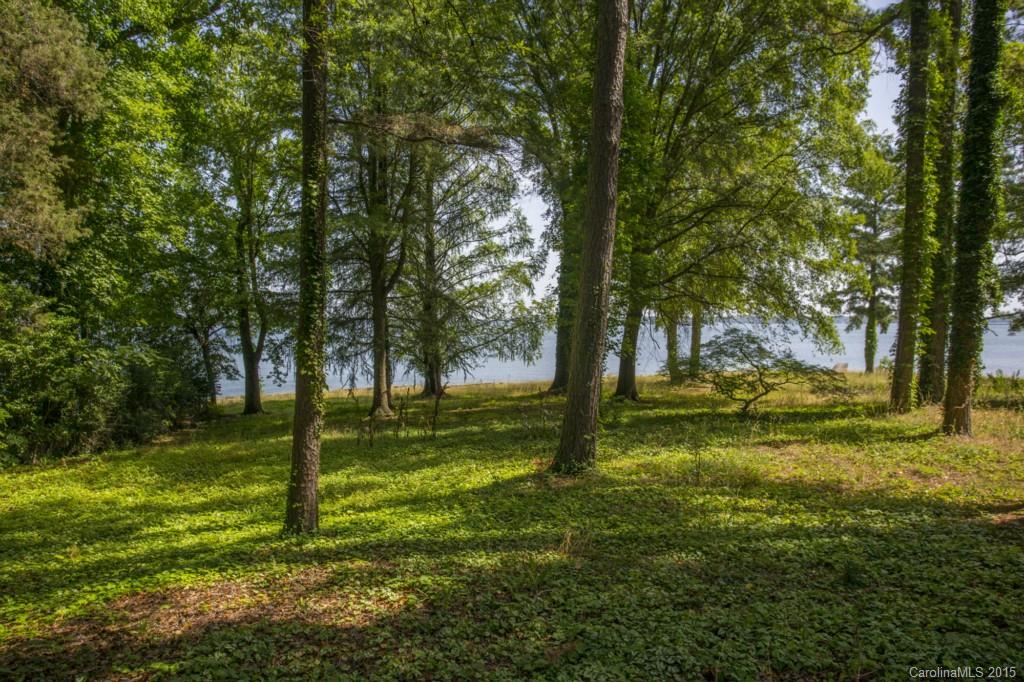 Island Forest - Land