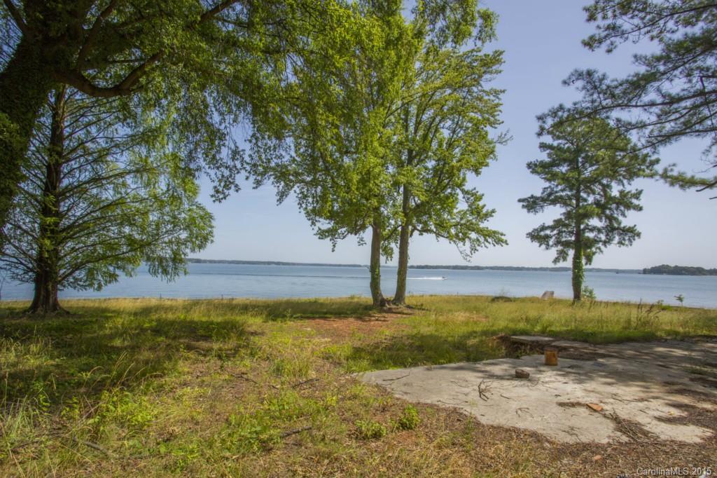 Island Forest - Land