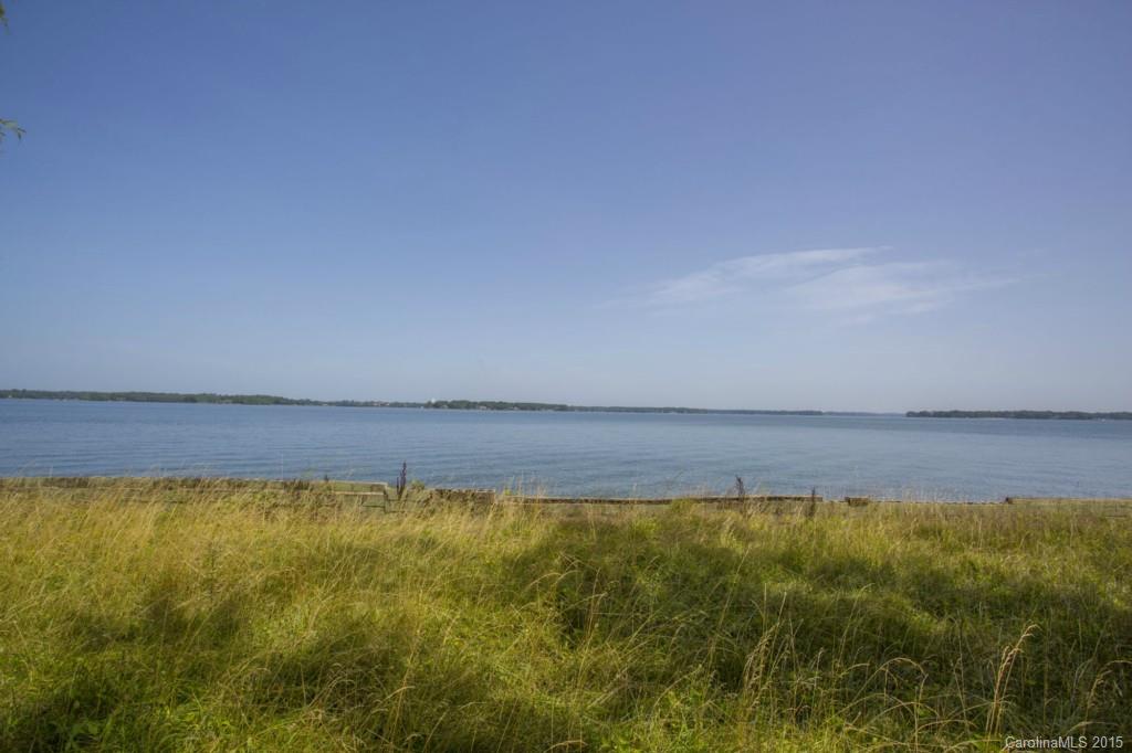 Island Forest - Land