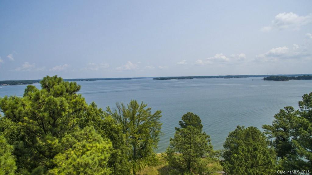 Island Forest - Land