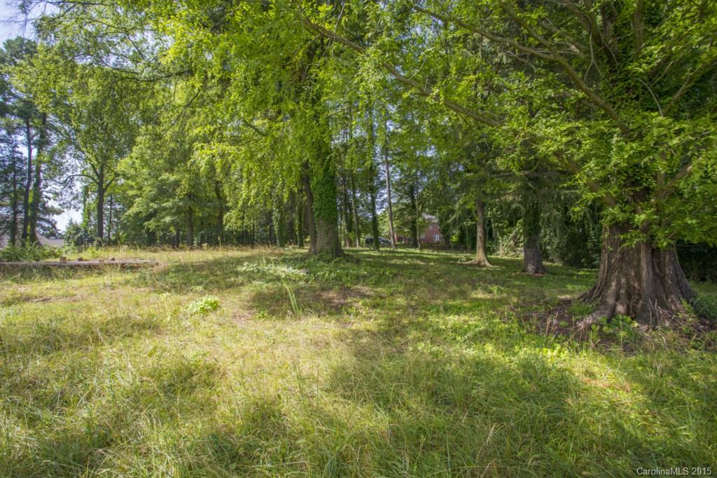 Island Forest - Land