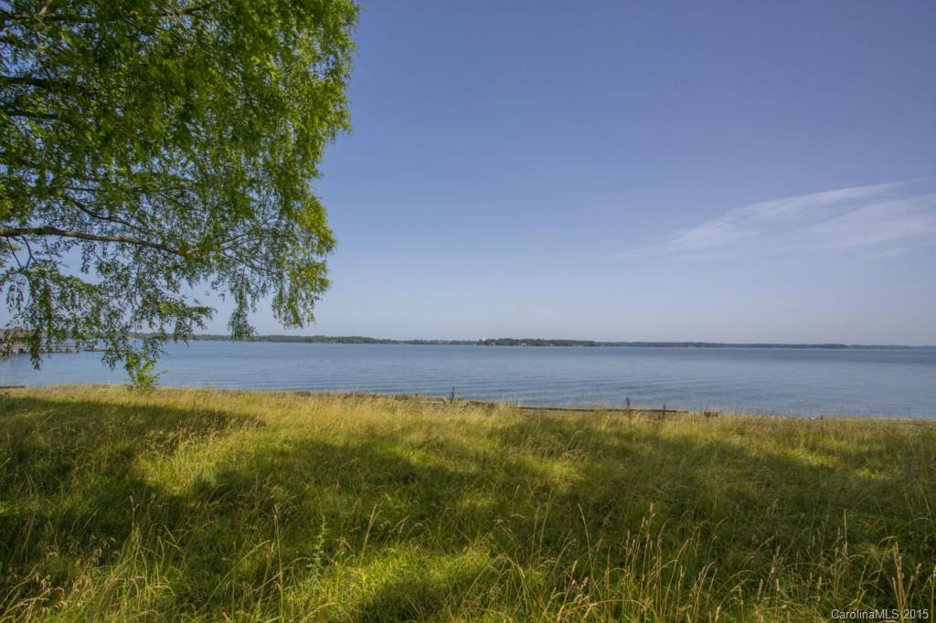 Island Forest - Land