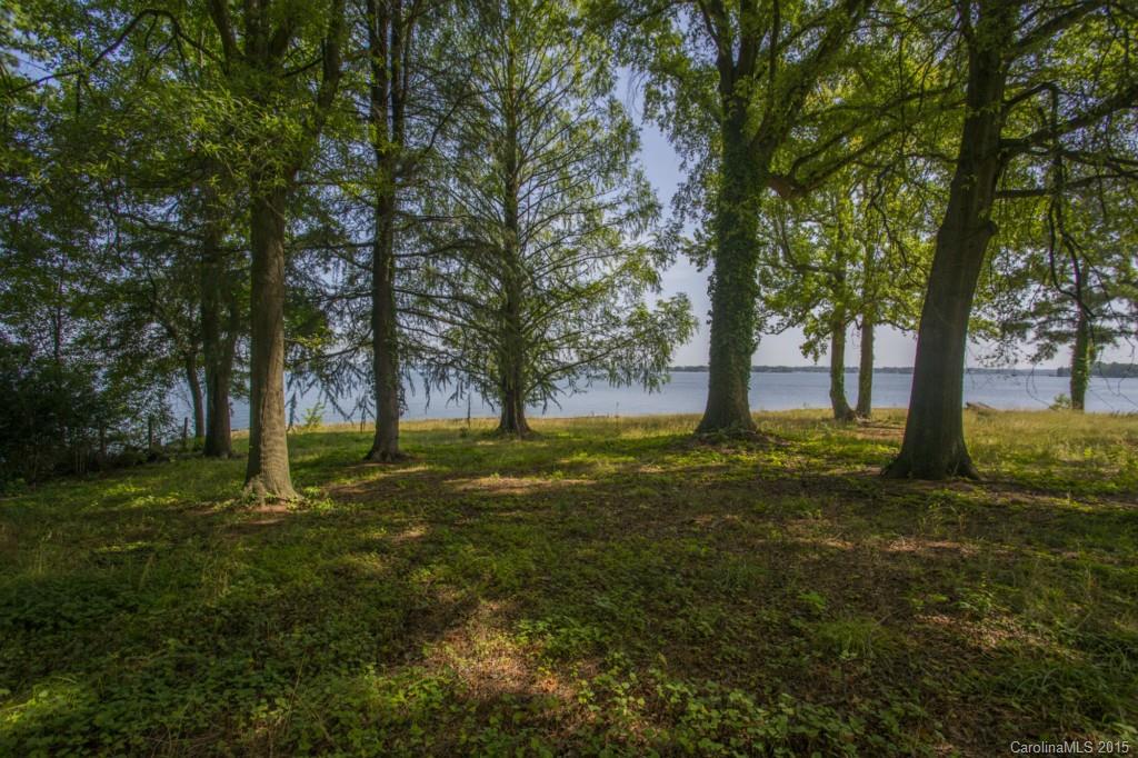 Island Forest - Land