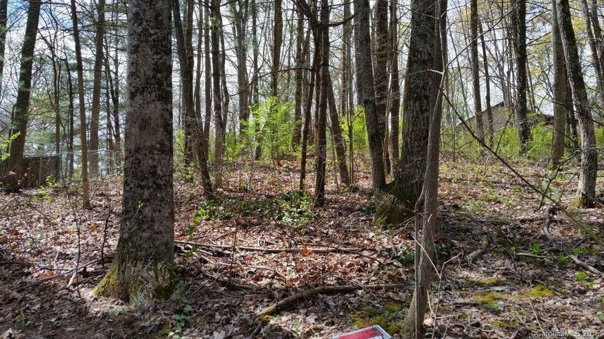 Rare infill building opportunity in great established neighborhood in Arden that has its own herd of wild turkeys. Located at the end of a cul-de-sac, this private wooded lot has a level area perfect for building your home. A fence surrounds the property. Lot has access to trails at Christ School and Collier Cove Nature Preserve. It is conveniently located to South Asheville amenities. City water is available. In process of obtaining 2 bedroom septic permit.