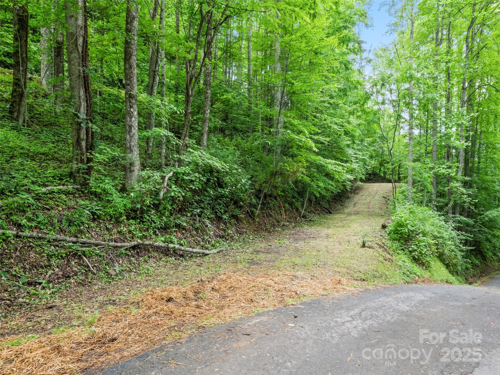 13 Galega Trail D