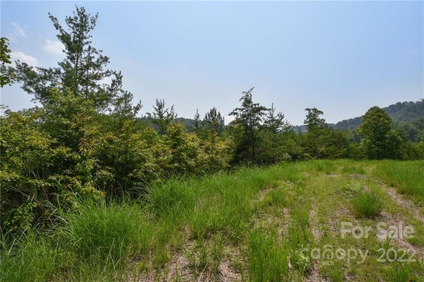 113 CHARDONNAY AVE, MARSHALL, NC 28753 - Image dba943b2c34e13ced5cf325716caa623/1896971260