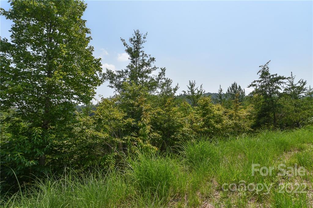 113 Chardonnay Avenue 10