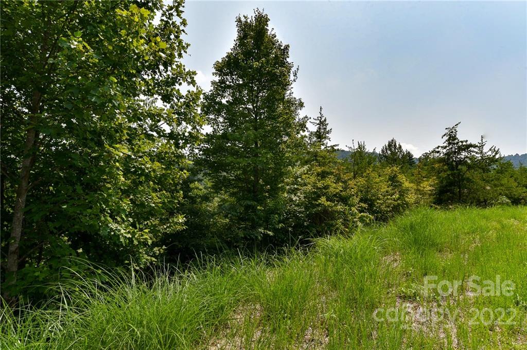 113 Chardonnay Avenue 10