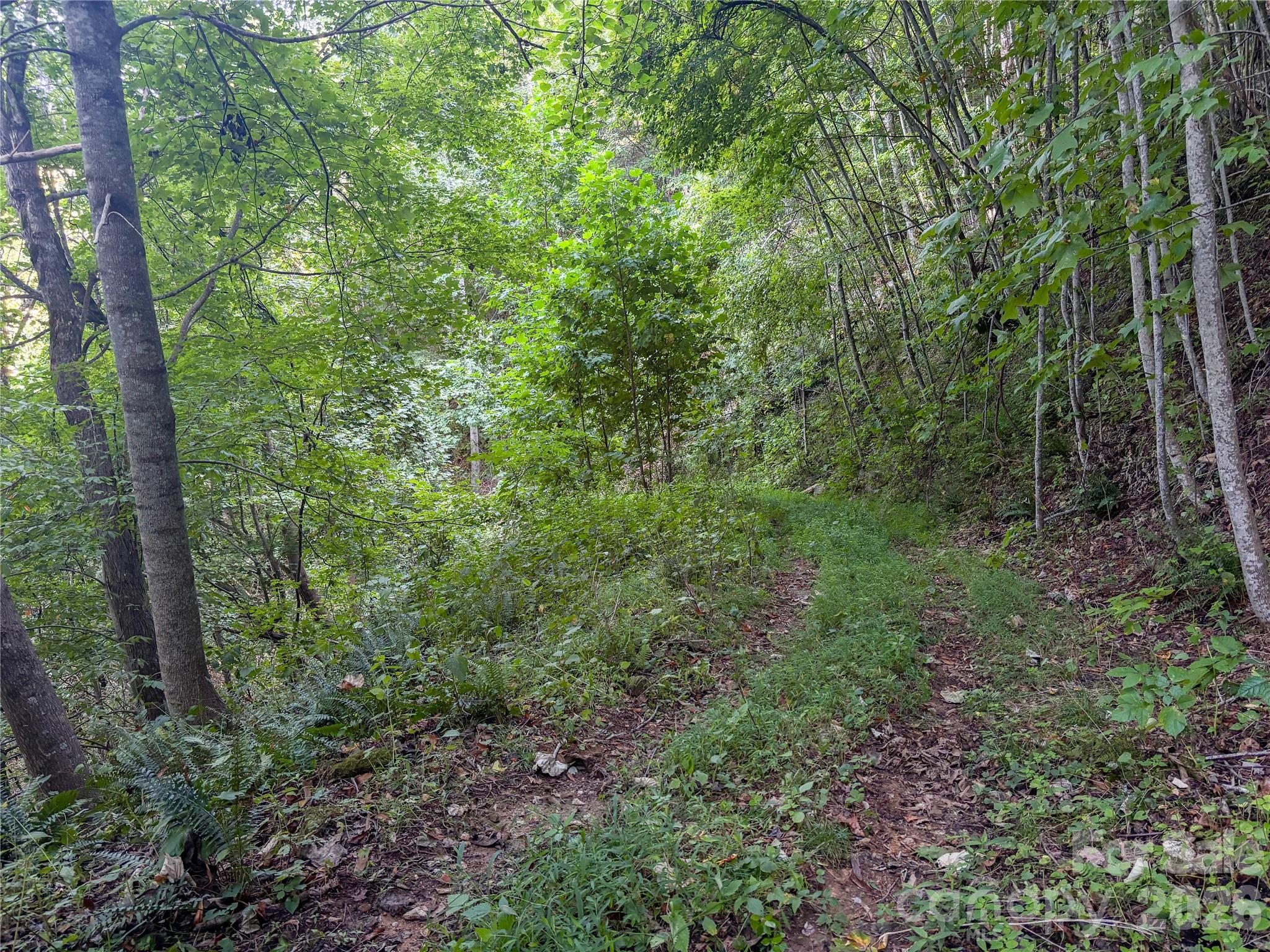 9999 Spillcorn Road