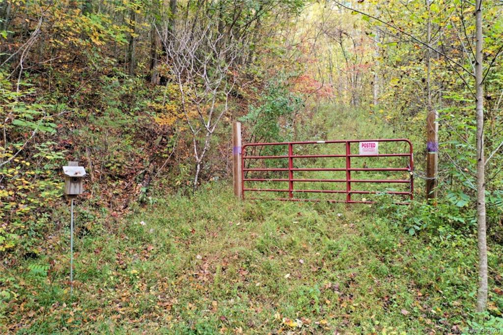 Mountain Forest Estates - Land