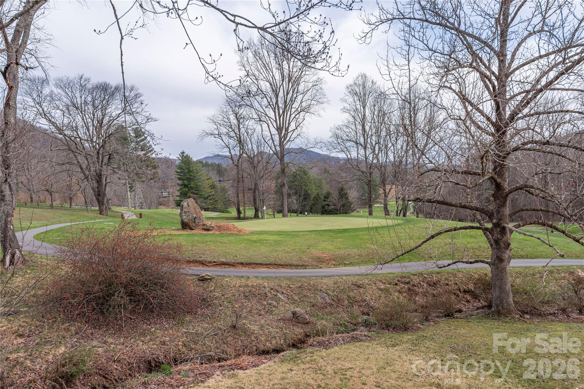 Springdale Estates - Residential