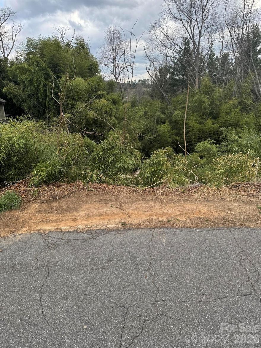 Three adjacent residential lots on Belleair Road. The lots are cleared and part of a recorded subdivision (Plat Book 199 / Page 147), providing defined boundaries and a clear path to development.

Each lot is sized for efficient residential construction in a desirable West Asheville location.

Suitable for custom homes or small-scale residential development.

Buyer to verify all utilities, zoning, and development requirements.