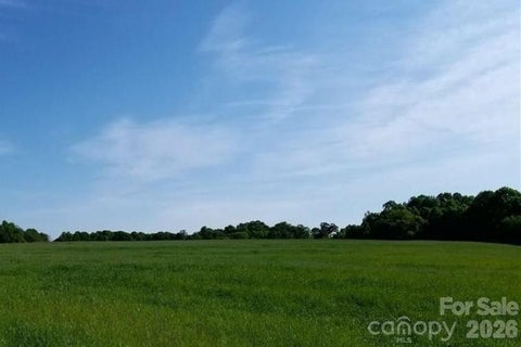 Photo of +/- 32.51 Acres St Pauls Church Road, Newton, NC 28658 (MLS # 4431147)