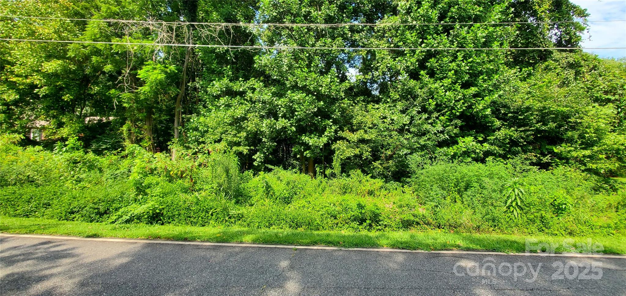 125 Polly Drive