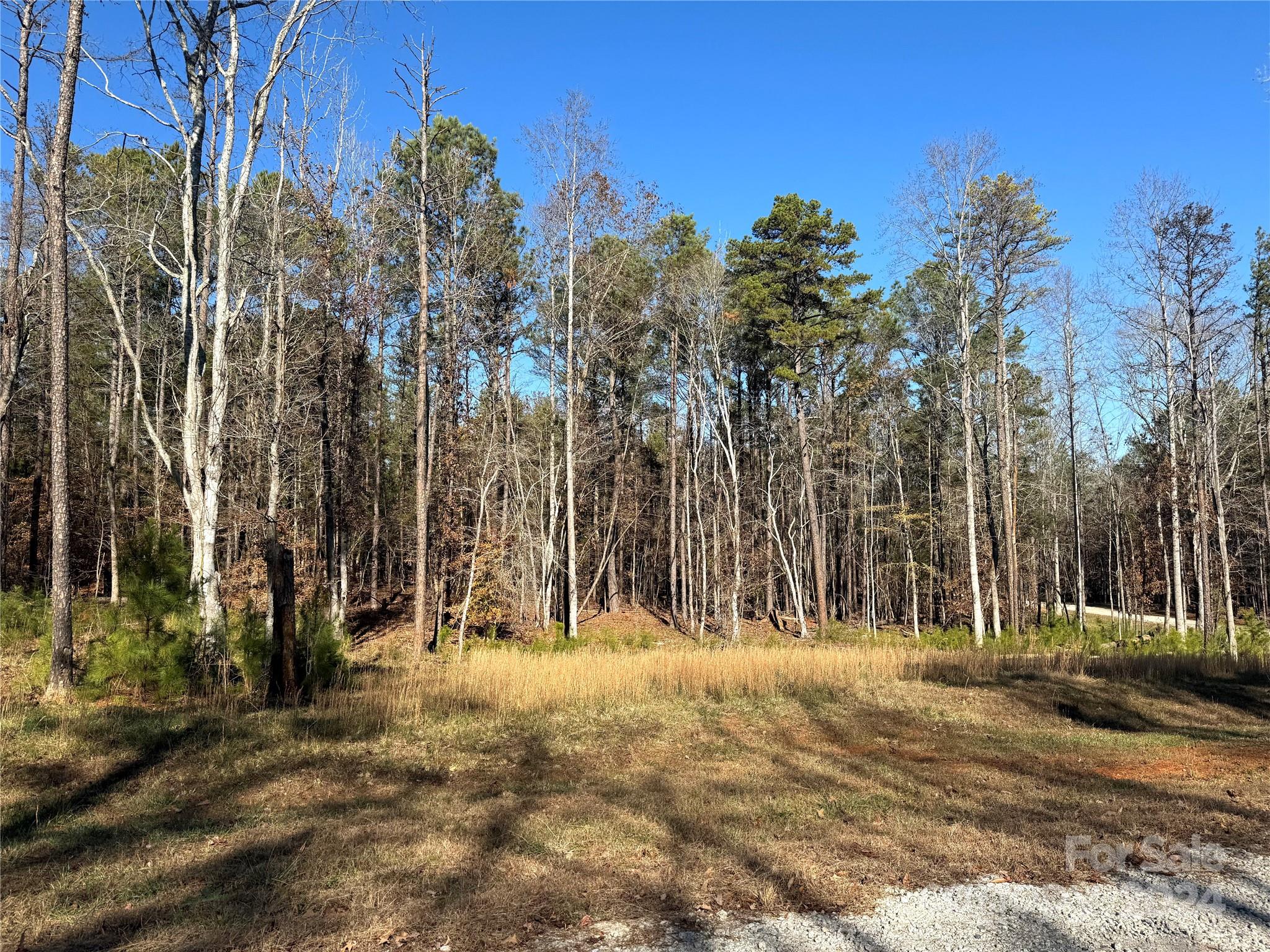 Three Lakes Preserve - Land