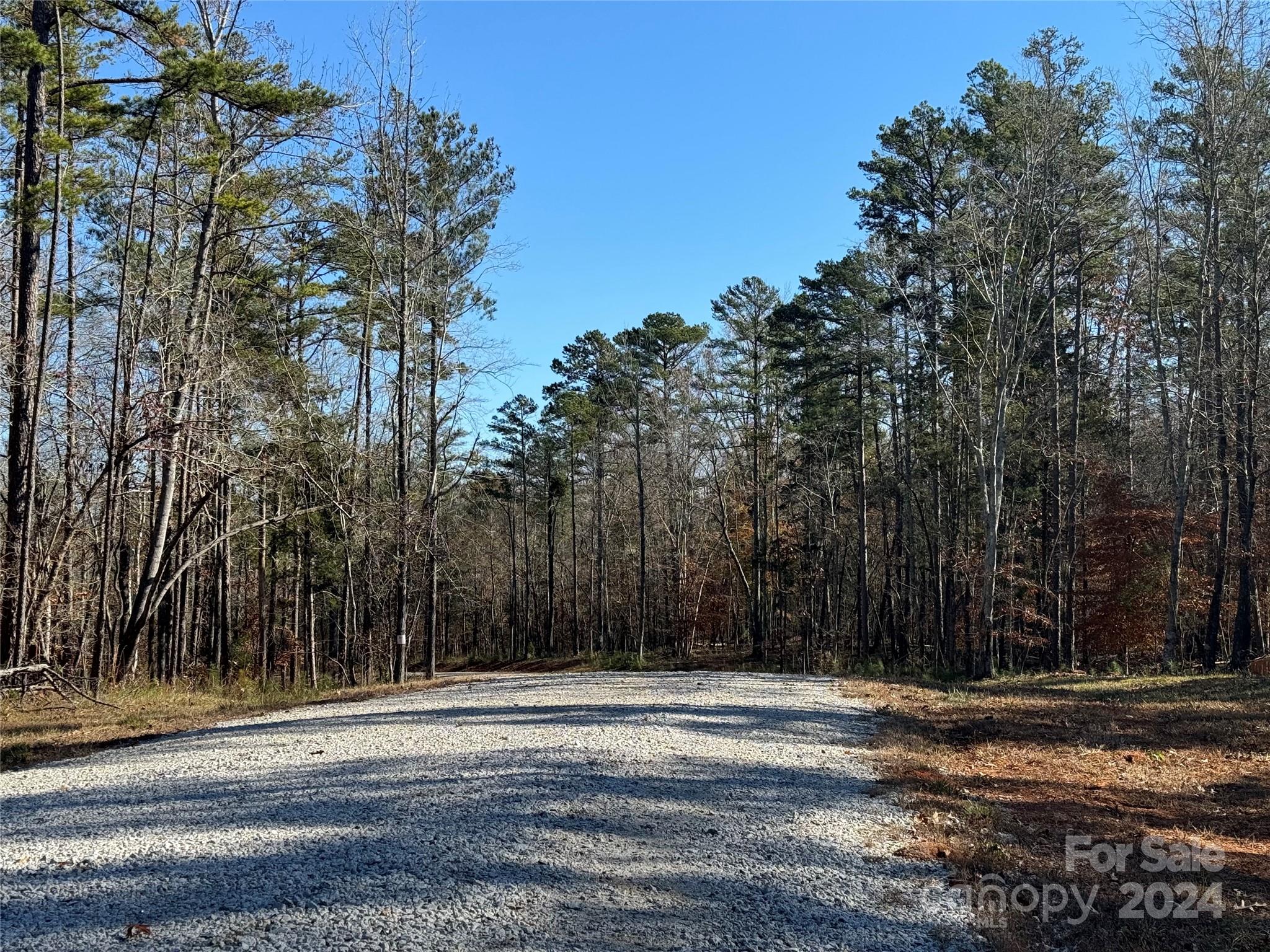 Three Lakes Preserve - Land
