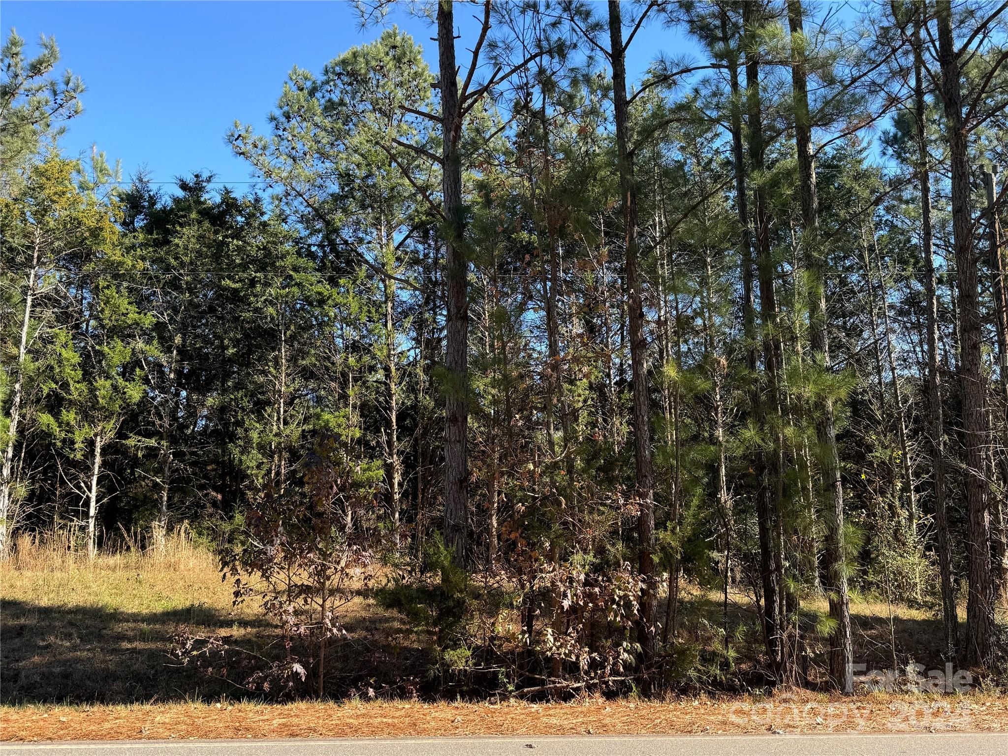 Three Lakes Preserve - Land