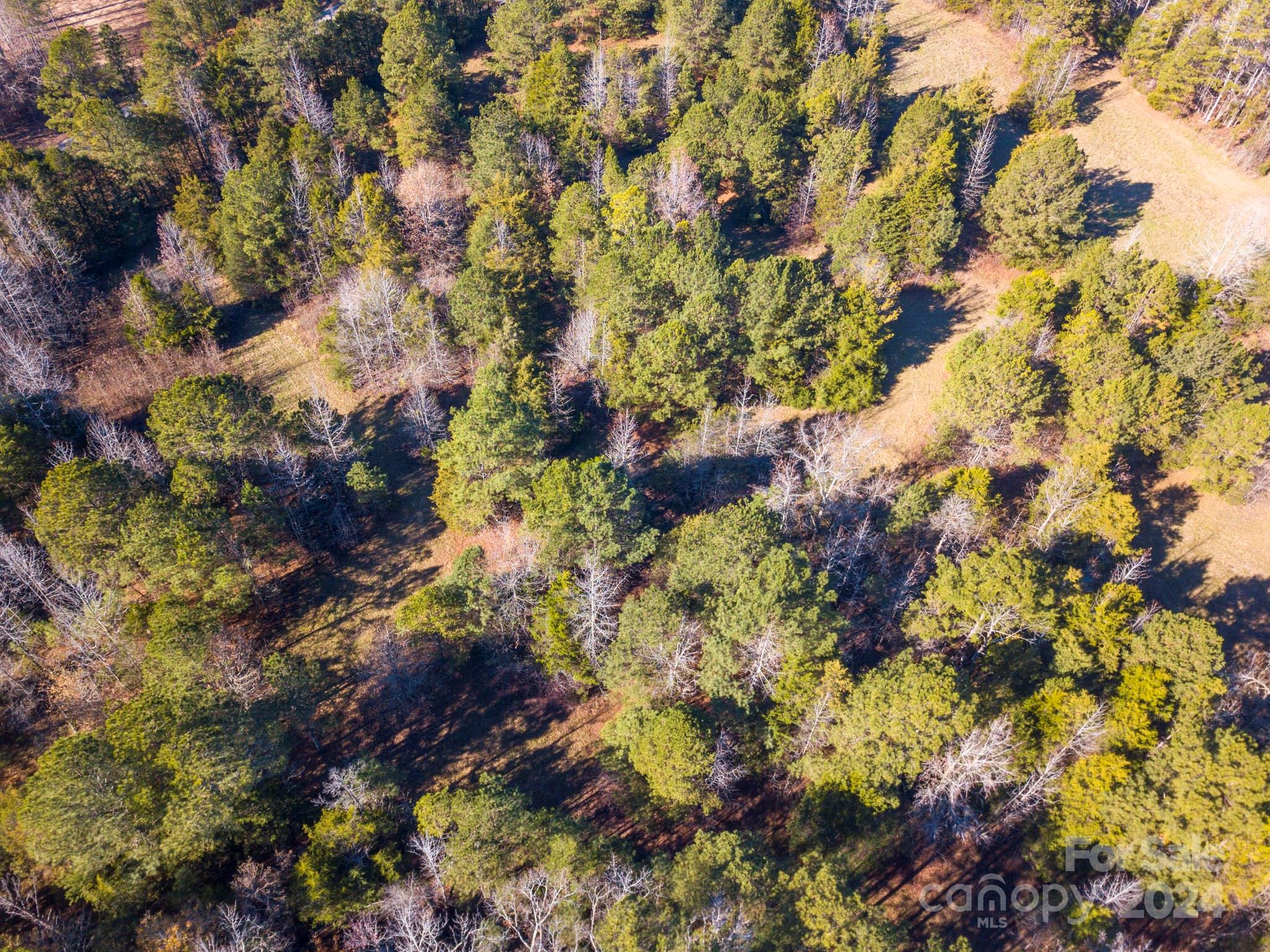 Three Lakes Preserve - Land