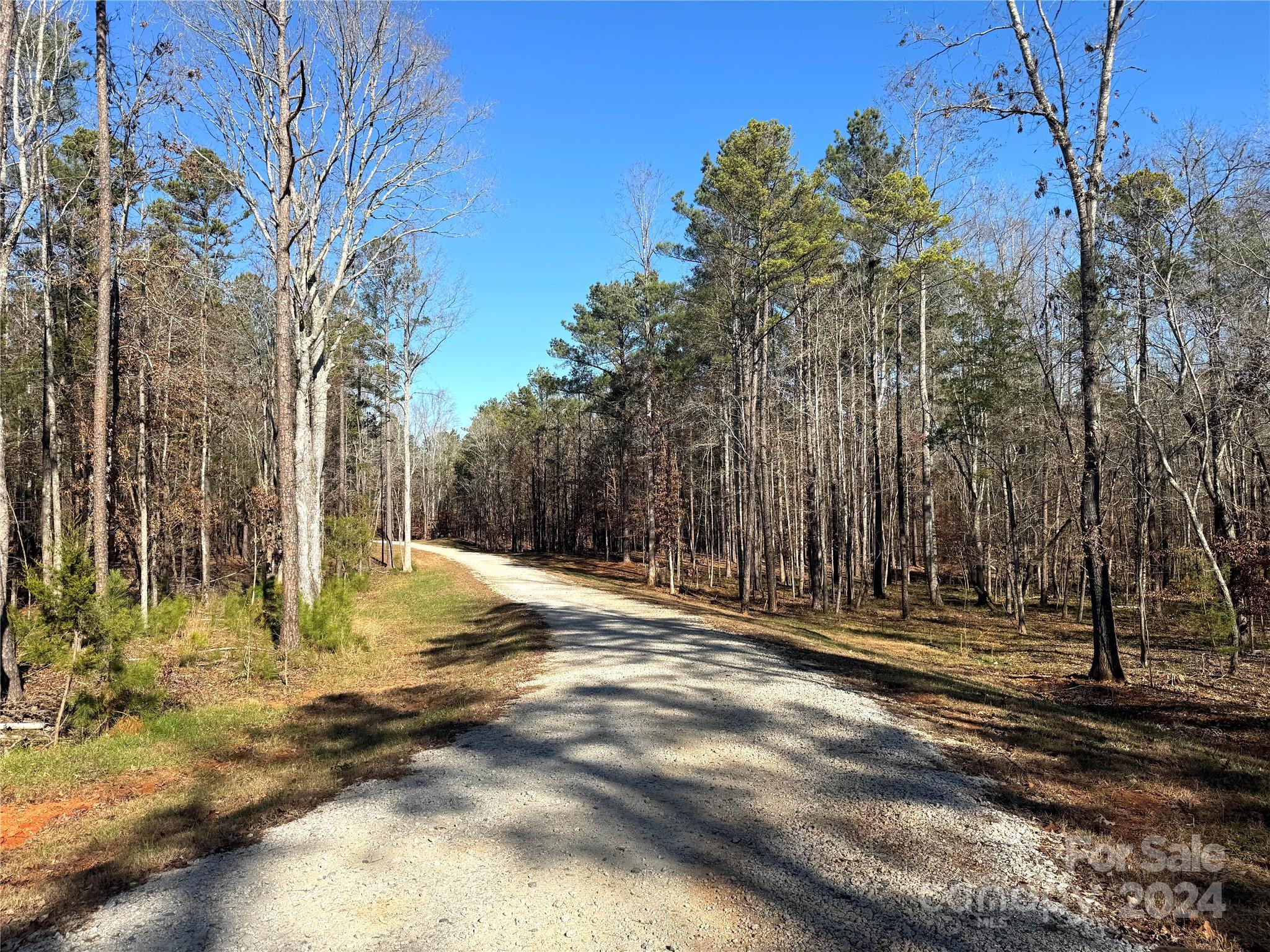 Three Lakes Preserve - Land