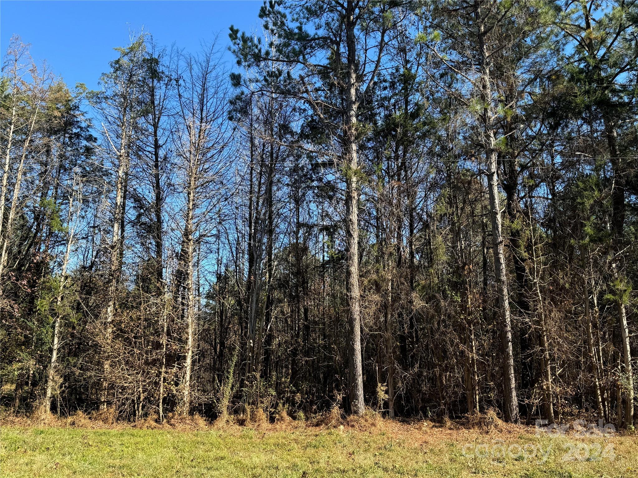 Three Lakes Preserve - Land