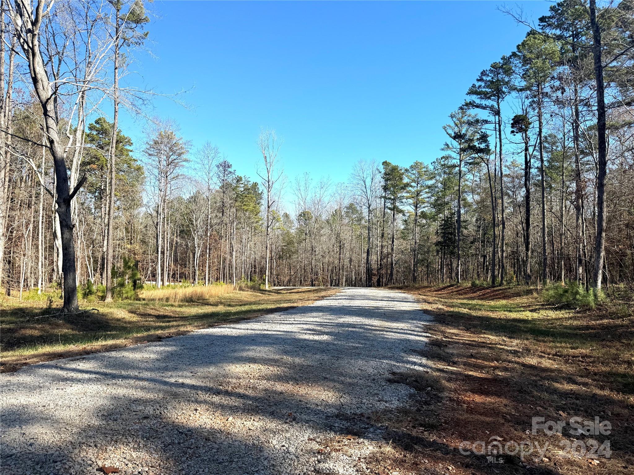 Three Lakes Preserve - Land