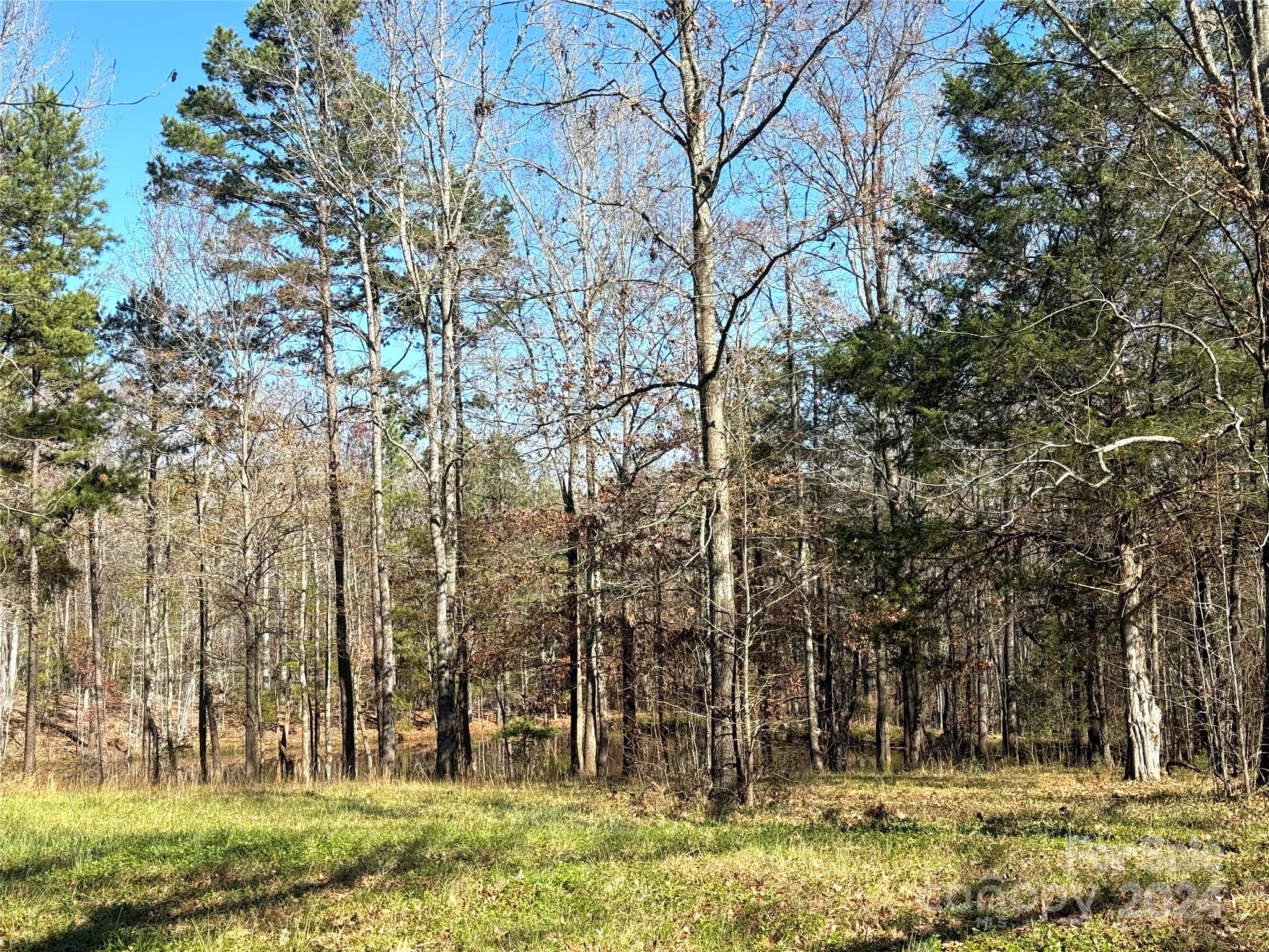 Three Lakes Preserve - Land