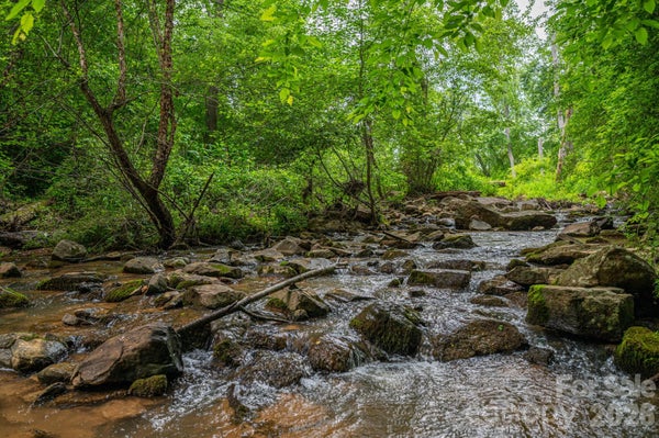 000 WELLS ROAD, VALE, NC 28168 - Image dbe94de80e6b93e332c3d8850b327a22/3966068638