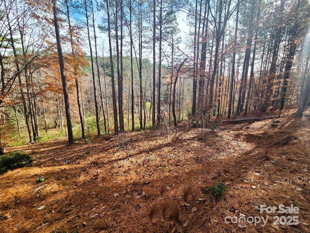 TBD Broadwater Drive 9