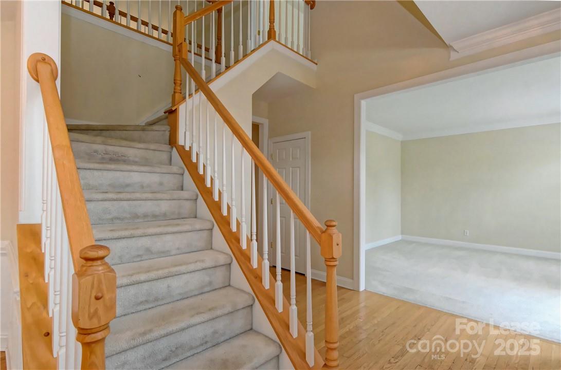 Amberleigh - Residential Lease