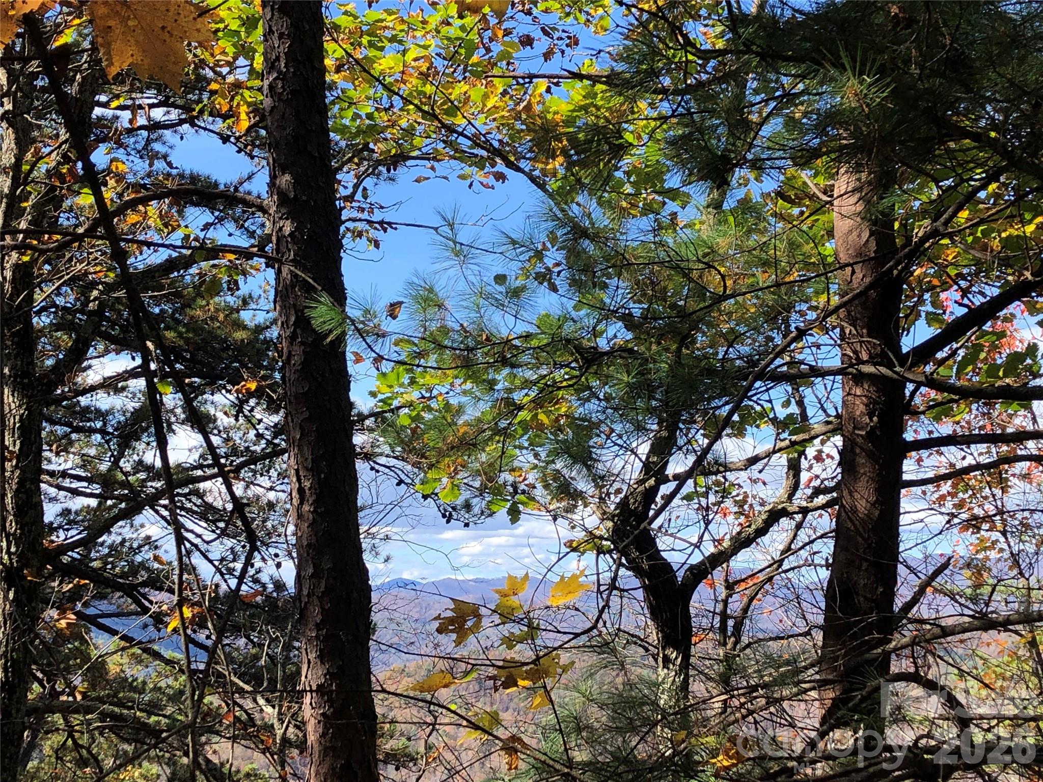 Buck Mountain - Land