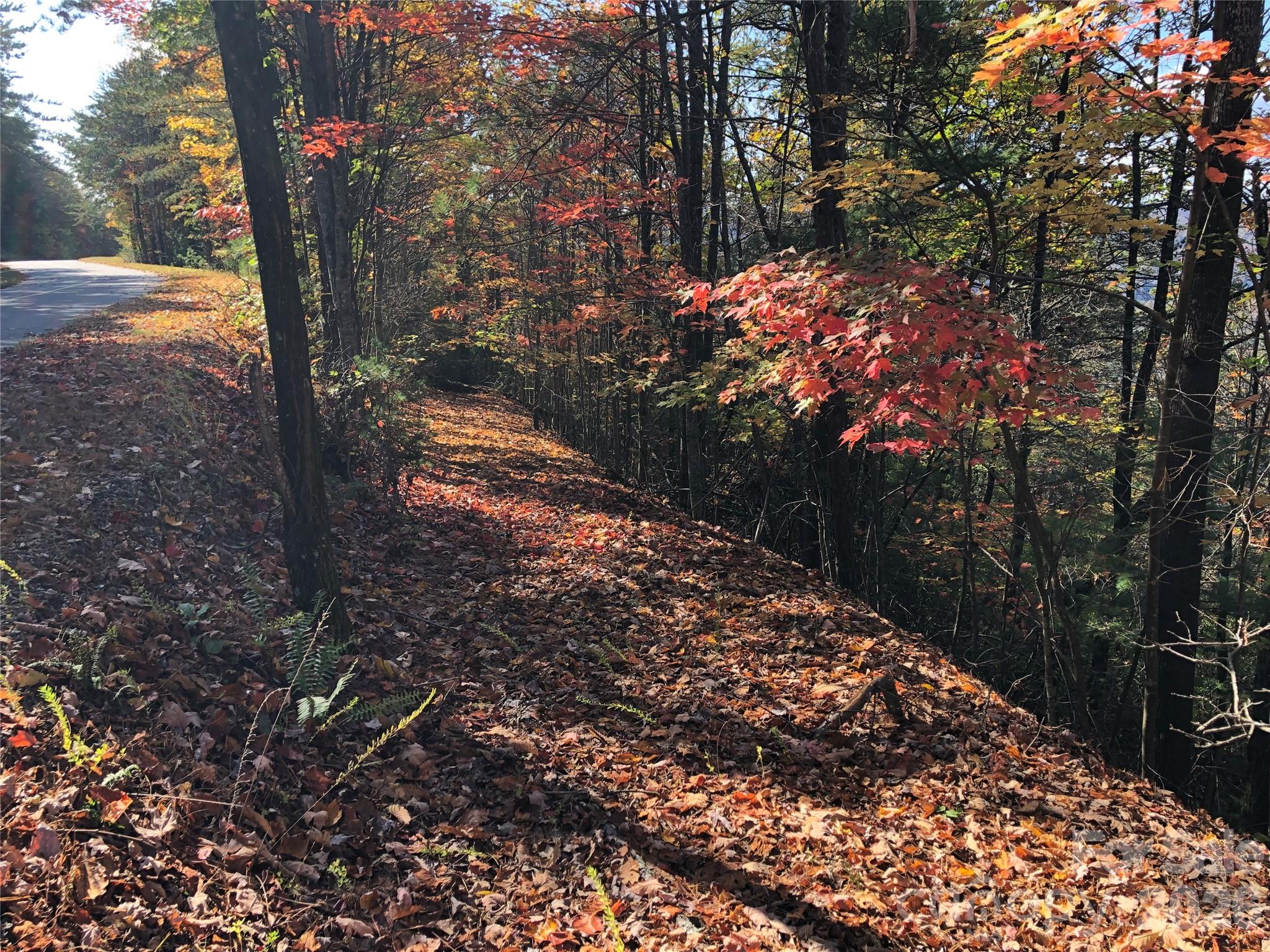 Buck Mountain - Land