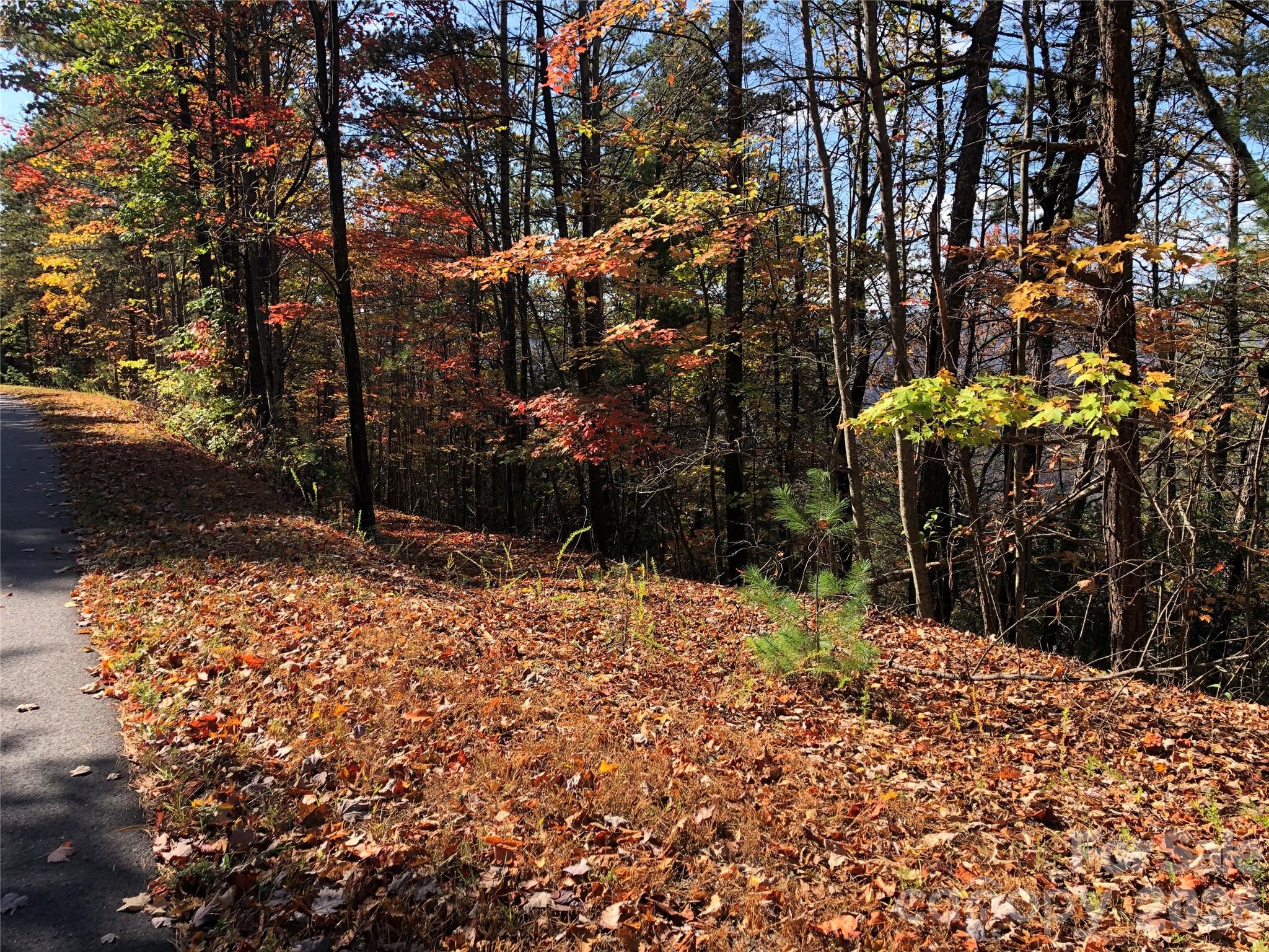 Buck Mountain - Land