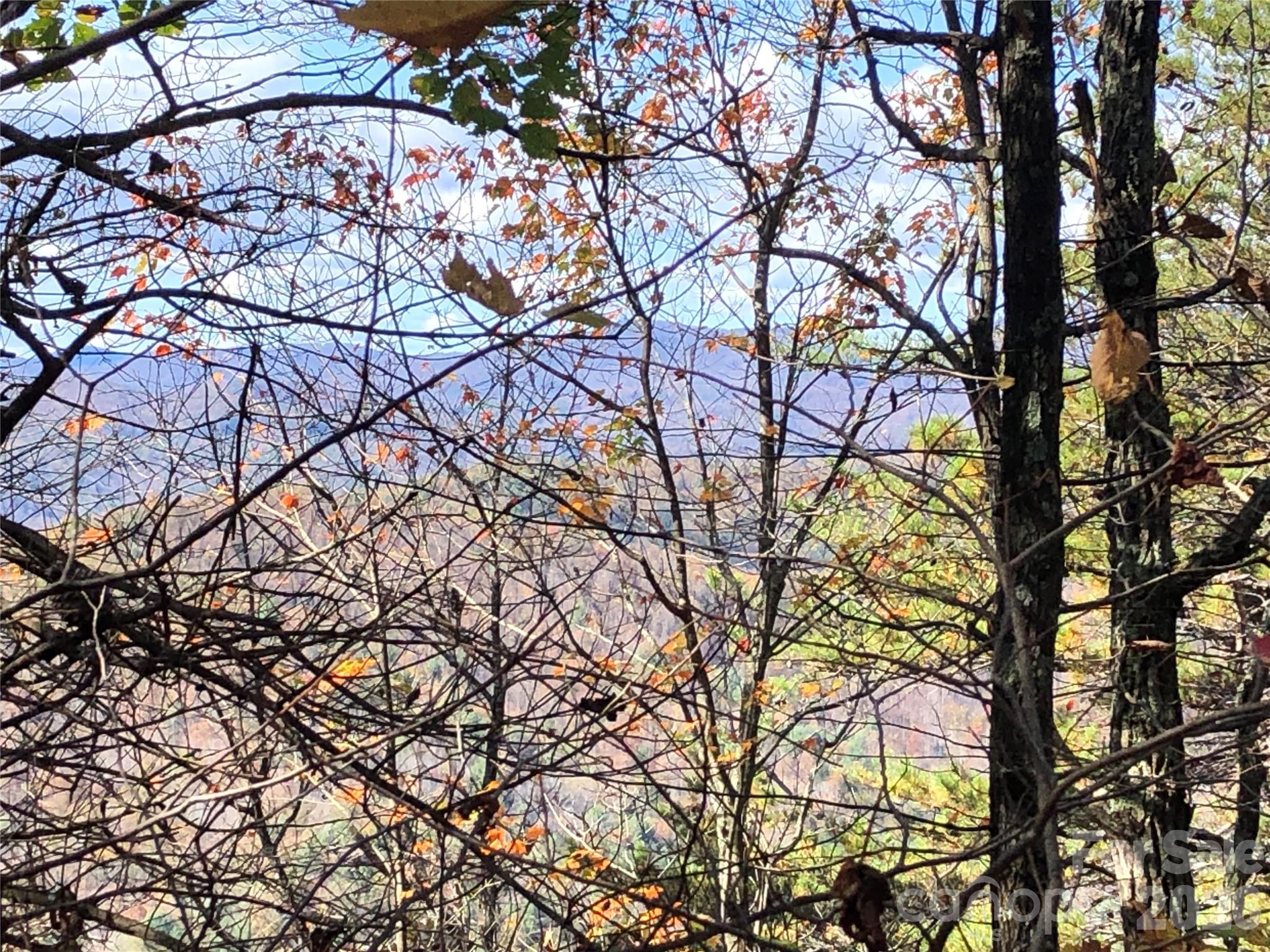 Buck Mountain - Land