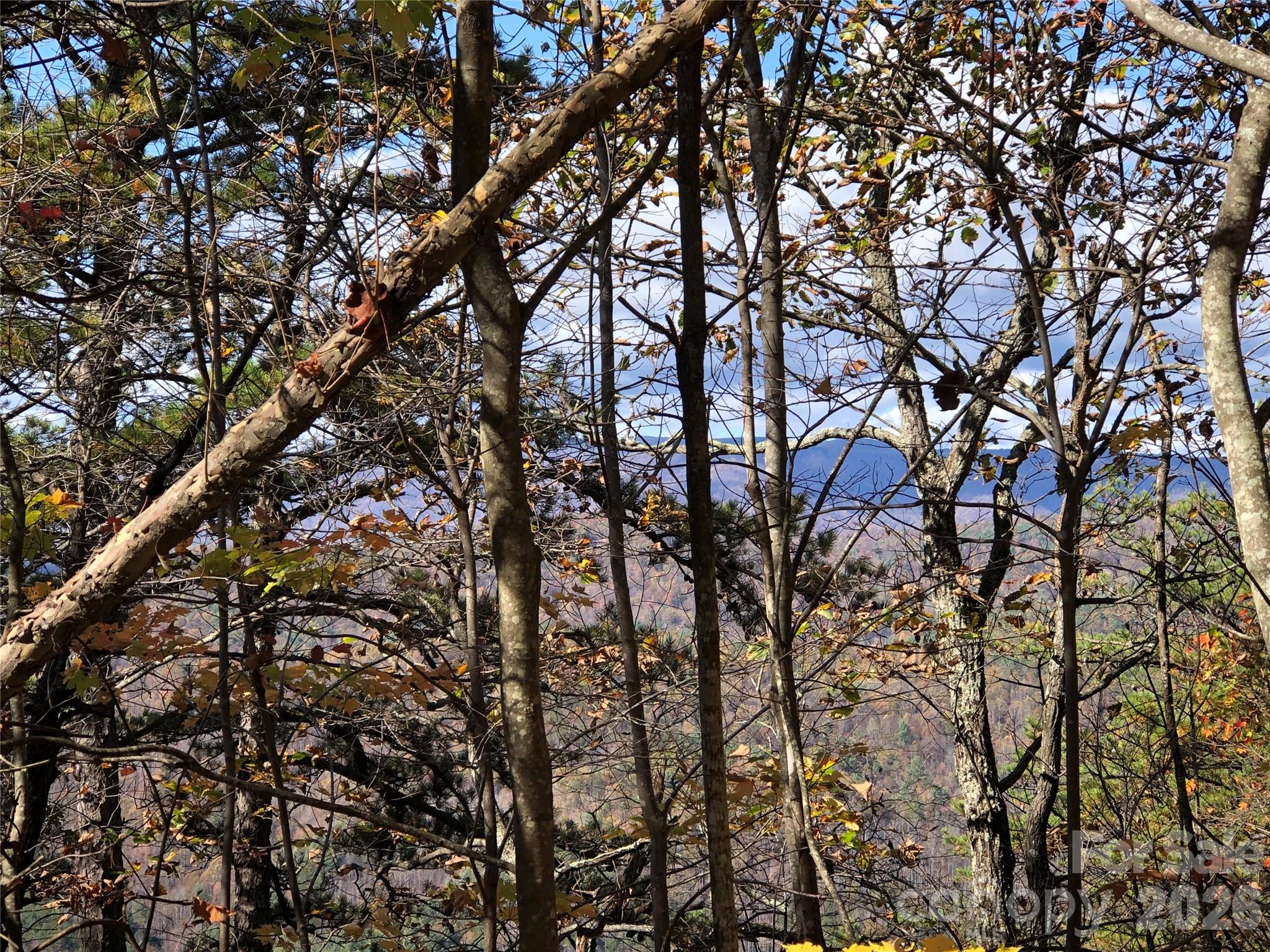 Buck Mountain - Land