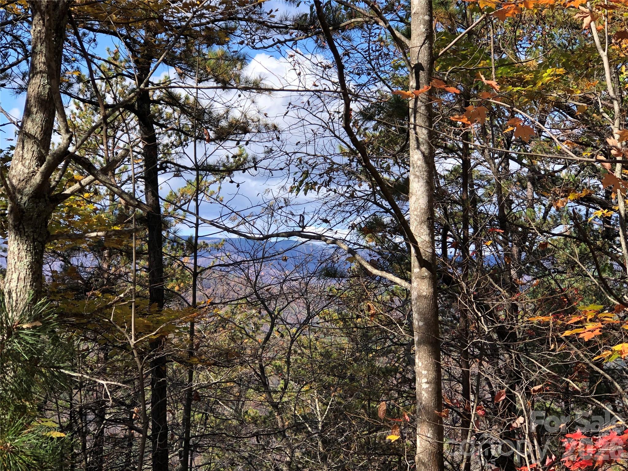 Buck Mountain - Land